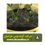 سوپر خاک گلدانی - تصویر 3