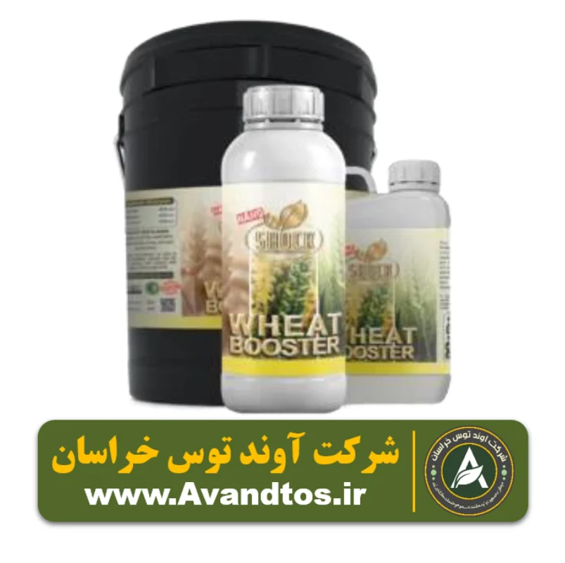کود مخصوص گندم و جو شوک